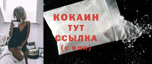 мдпв Горняк