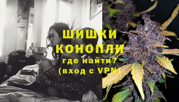 Альфа ПВП Всеволожск